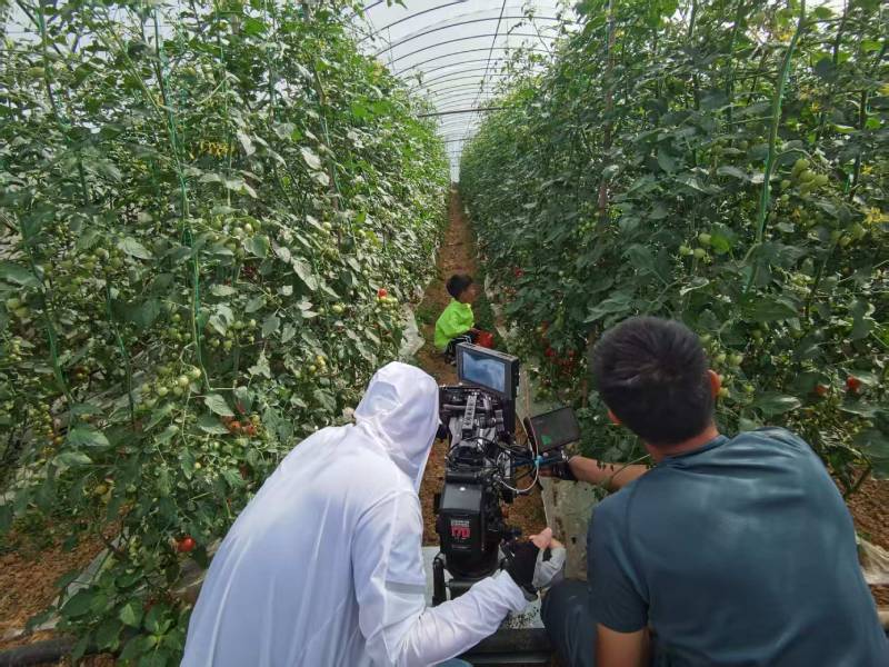 合江县产品宣传视频拍摄公司进阶指南，助力品牌抢占传播高地